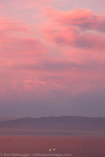 Salton Sea