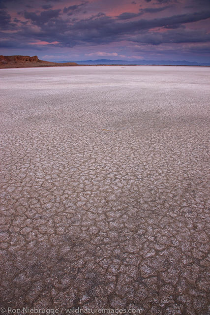 Salton Sea