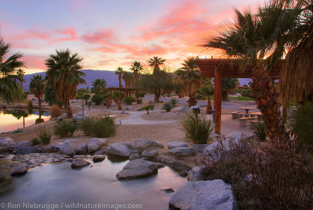 Borrego Springs, California