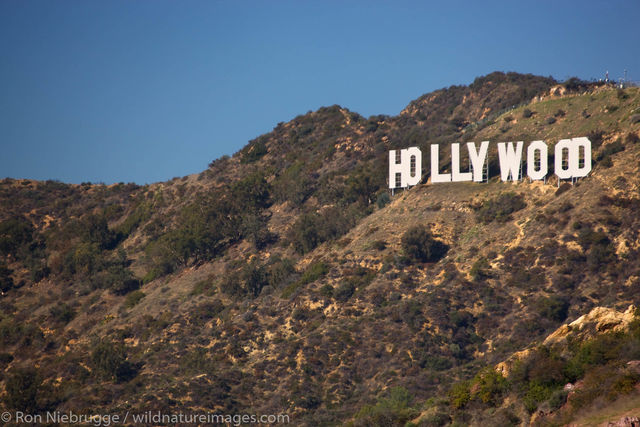 The Hollywood sign