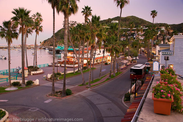 Catalina Island