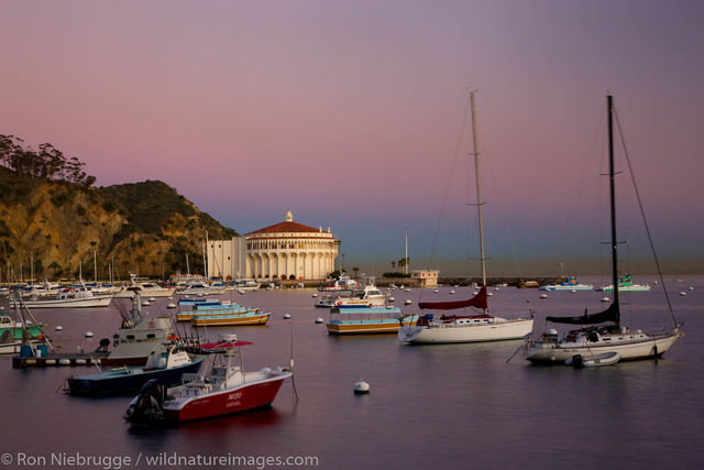 Avalon