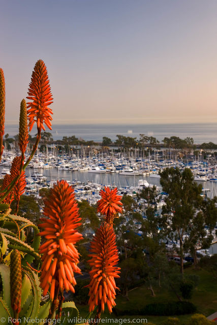 Dana Point, California