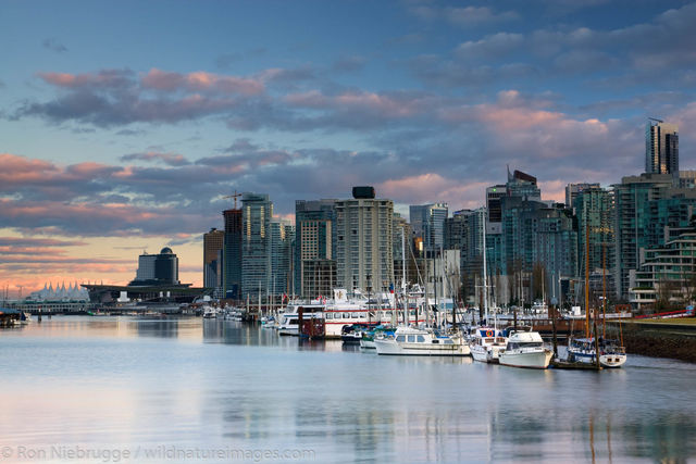 Vancouver Skyline