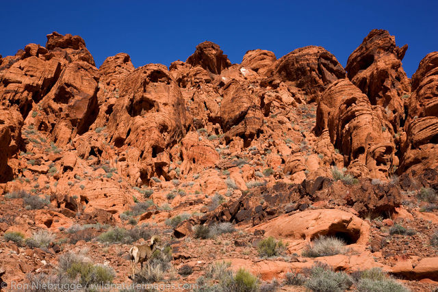 Valley of Fire