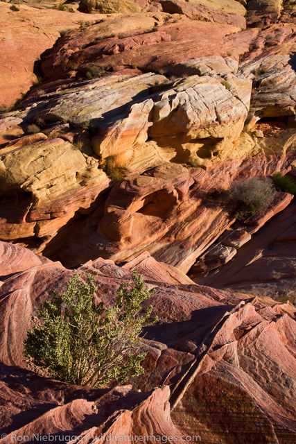Valley of Fire
