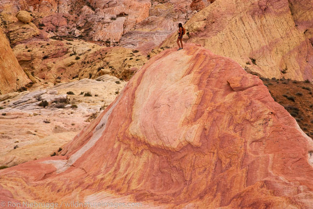 Valley of Fire