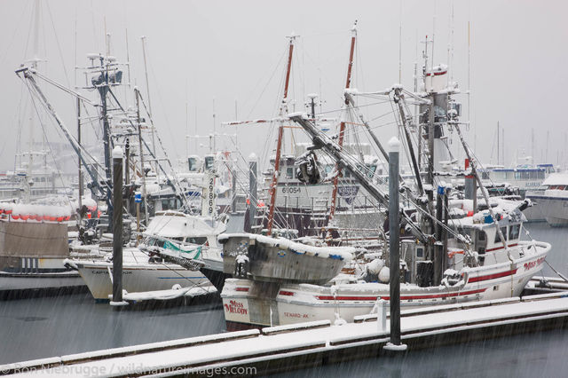 Seward Small Boat Harbor