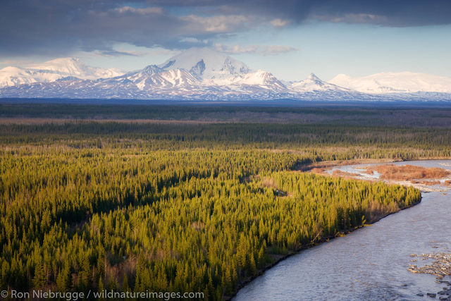 Mount Drum and the Copper River