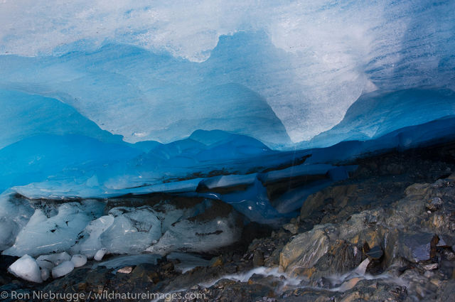 Exit Glacier