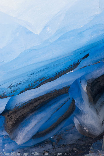 Exit Glacier