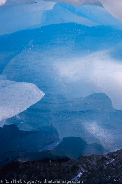 Exit Glacier