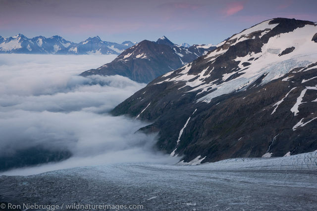 Exit Glacier