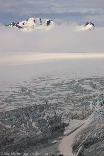 Harding Icefield Trail