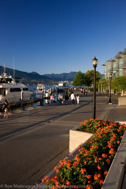 Walkway along the waterfront