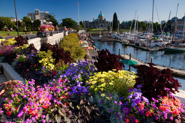 The Legislative or Parliament Buildings located on the Inner Harbour