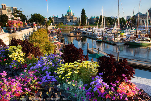 Inner Harbour