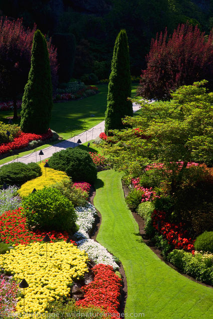 Butchart Gardens