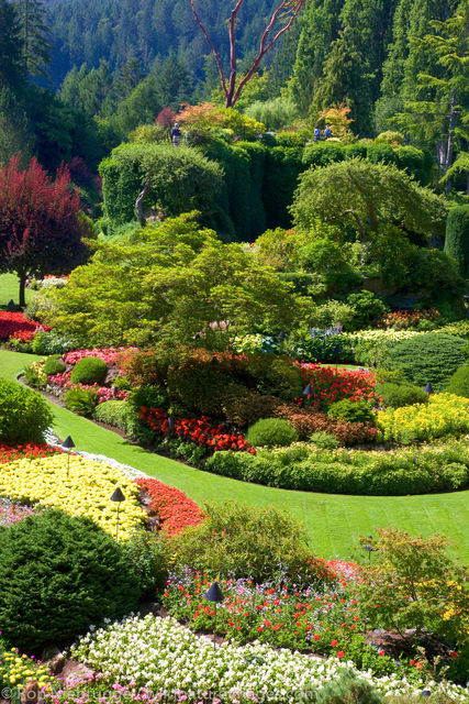Butchart Gardens