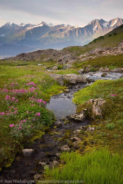Mount Marathon, Seward, Alaska