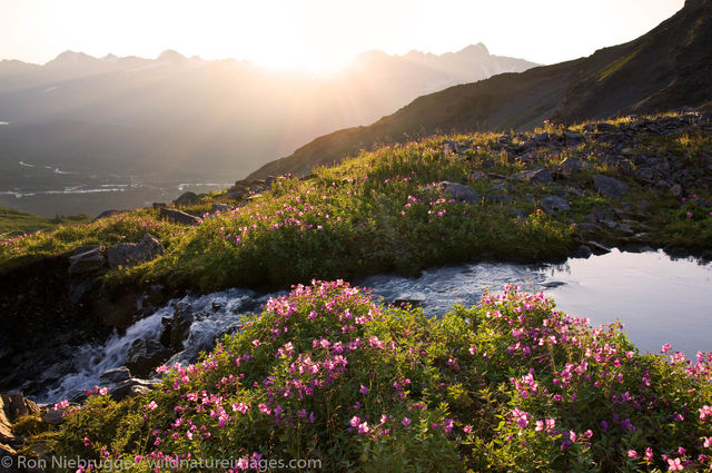 Mount Marathon, Seward, Alaska