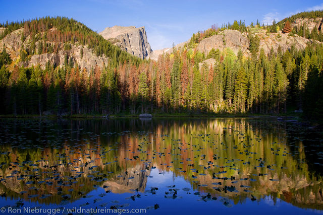 Nymph Lake, Rocky Mountain National Park