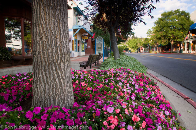 Estes Park