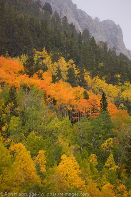 Colorado Color