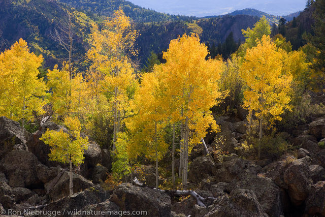Gunnison National Forest, Colorado
