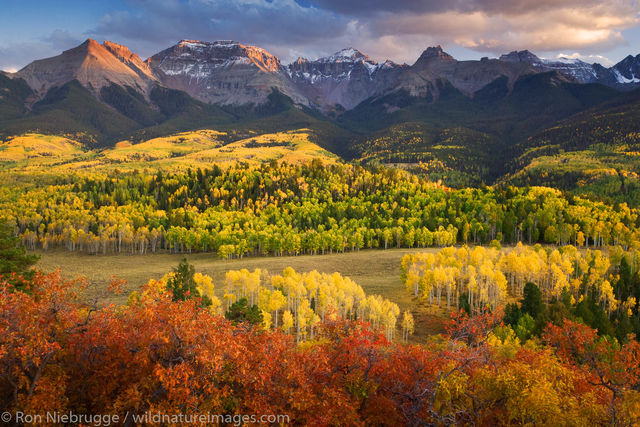 Autumn colors and the Sneffels Range