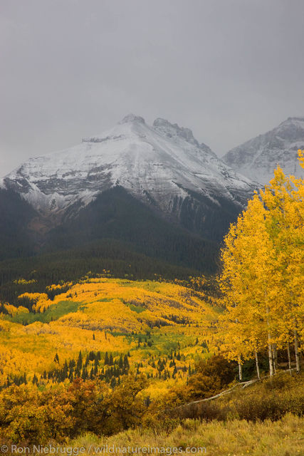 Autumn colors and the Sneffels Range