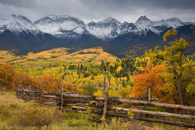 Autumn colors and the Sneffels Range