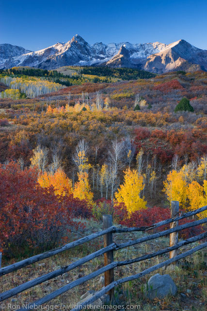 Autumn colors, Dallas Divide,  Colorado.