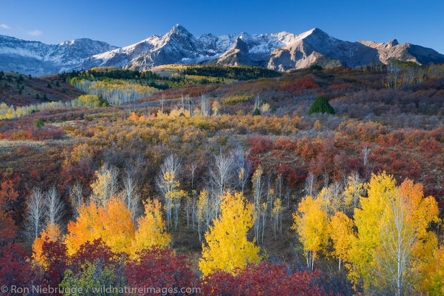 Autumn colors, Dallas Divide