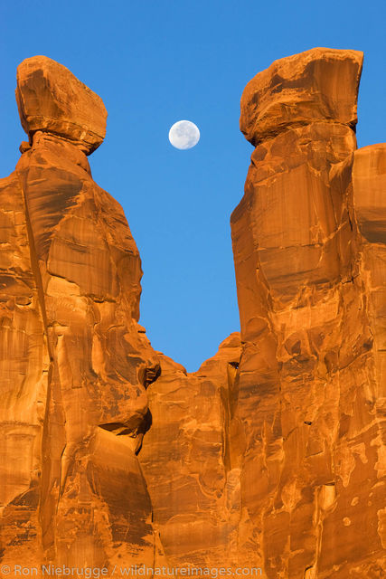 full moon along with the Three Gossips