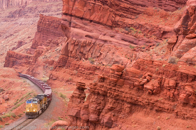A train hauling uranium tailings 