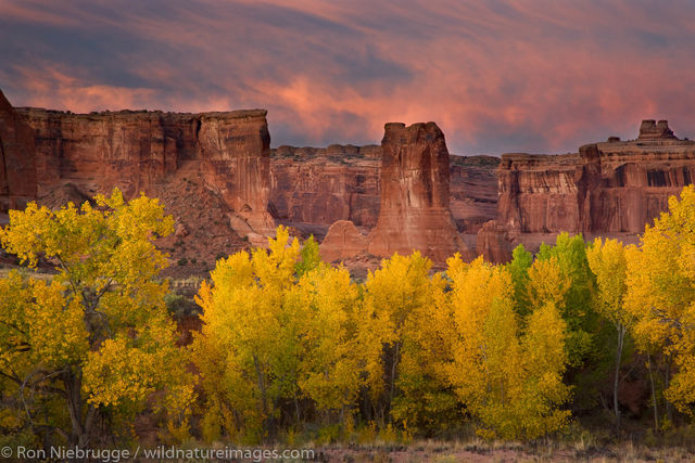 Courthouse Wash