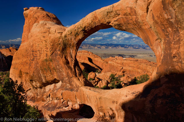 Double O Arch