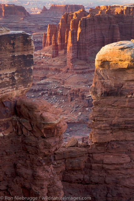 Monument Basin, along the White Rim Trail