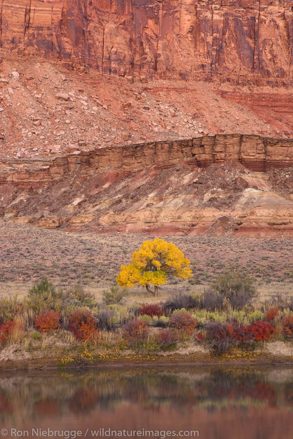 Green River, Canyonlands National Park