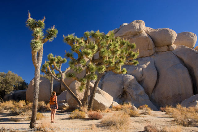 Hiking, Joshua Tree National Park