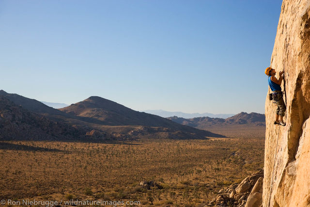 Rock Climbing, Joshua Tree National Park