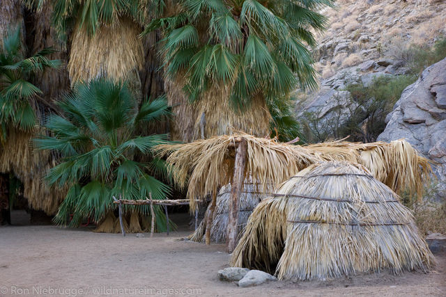 Palm Canyon, Palm Springs, California