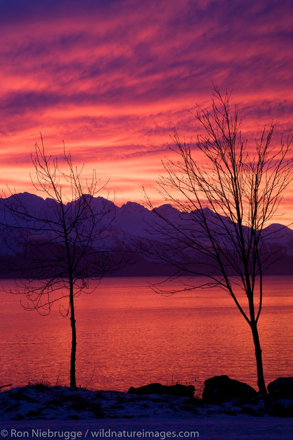 Resurrection Bay at sunrise, Seward, Alaska