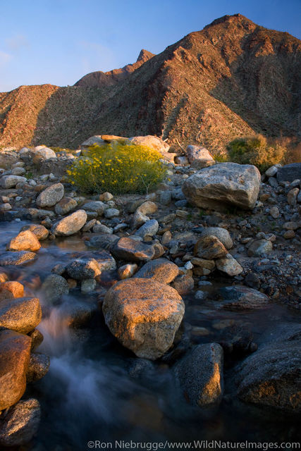 Anza Borrego Desert State Park