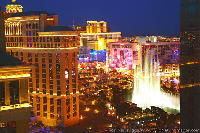 The Strip at night