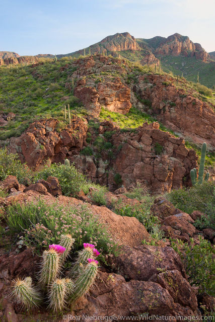 Superstition Mountains along the Apache Trail