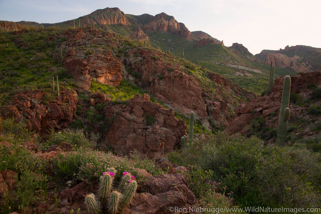 Superstition Mountains along the Apache Trail