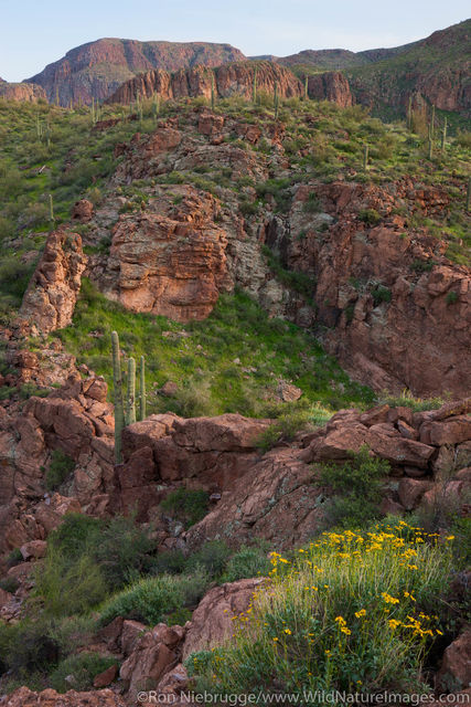 Superstition Mountains along the Apache Trail