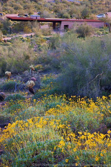 McDowell Sonoran Preserve